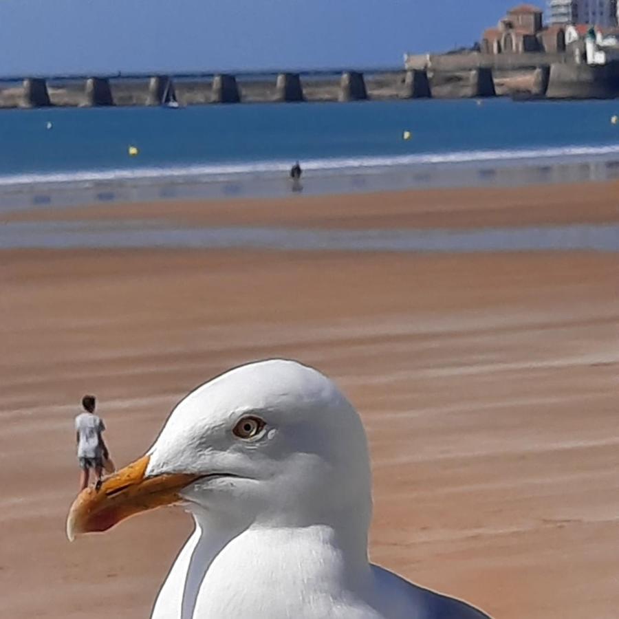 Appartement Vue Sur Mer Les Sables-dʼOlonne Exteriör bild